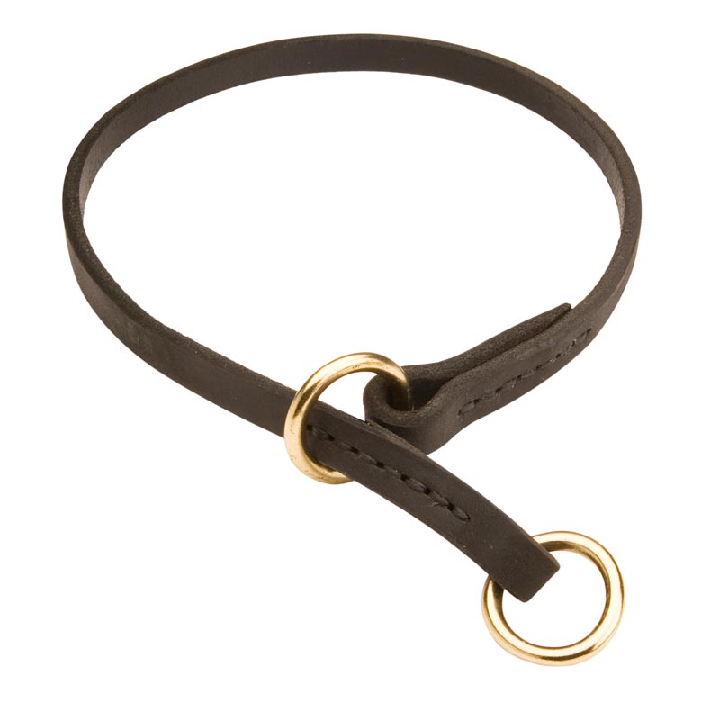 Leather dog training on sale collars