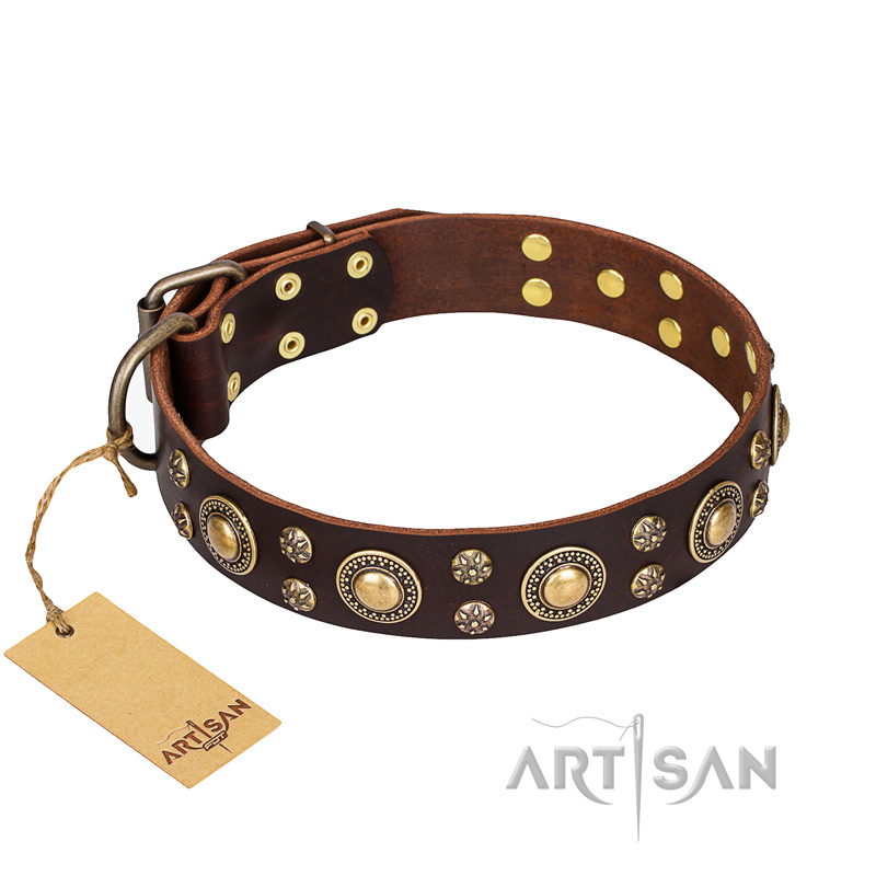 The Ultimate Guide to Decorated Dog Collars: Style Meets Functionality