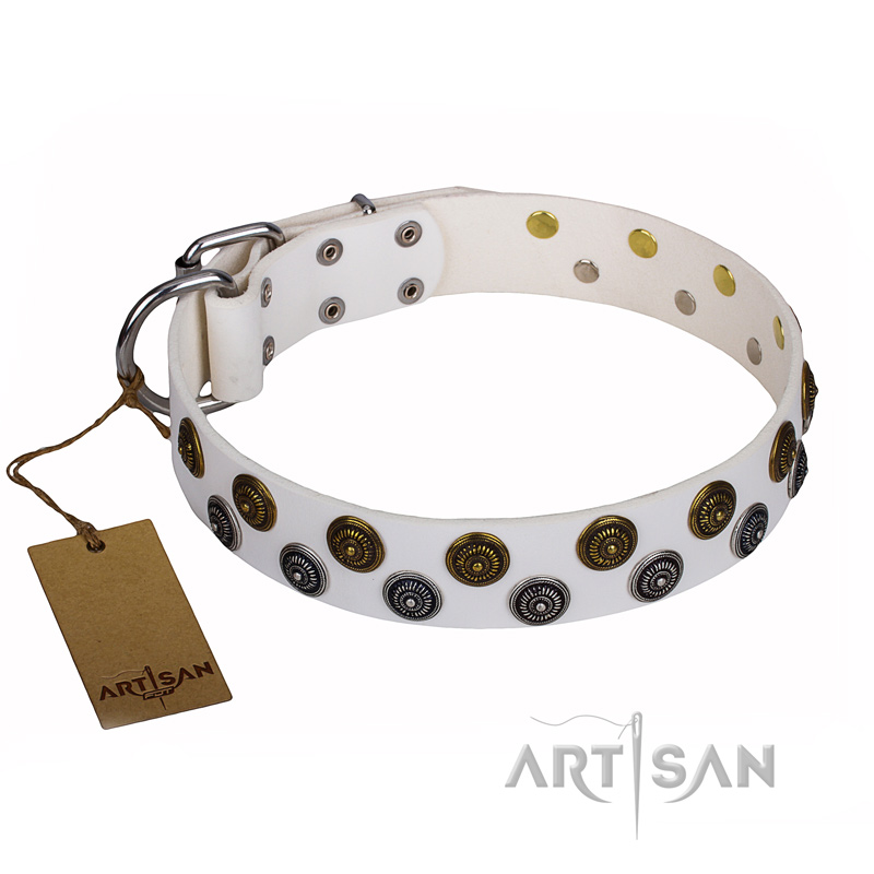 Sparkling Dog Collar