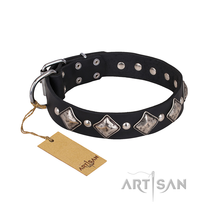 silver dog harness