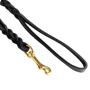 Braided Dog Leash with Snap Hook Easy Connected with Canine Collar for Swiss Mountain Dog
