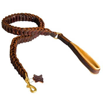 Braided Leather Swiss Mountain Dog Leash with Padding on Handle