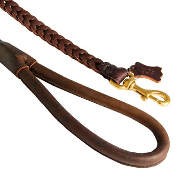 Braided Leather Swiss Mountain Dog Leash with Brass Snap Hook