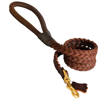 Multipurpose Leather Braided Swiss Mountain Dog Leash