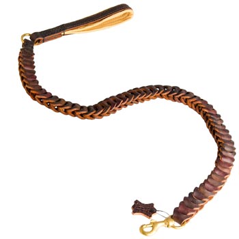 Swiss Mountain Dog Leash Leather for Successful Training