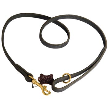 Strong Leather Swiss Mountain Dog Leash Designer for Dog Walking