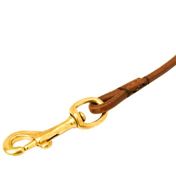 Swiss Mountain Dog Round Leather Leash with Massive Snap Hook