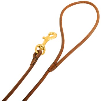 Leather Swiss Mountain Dog Leash with Comfy Round Hnadle