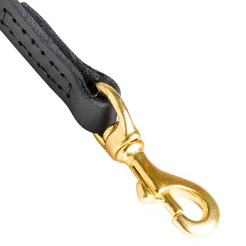 Swiss Mountain Dog Leather Leash with Massive Gold-like Snap Hook