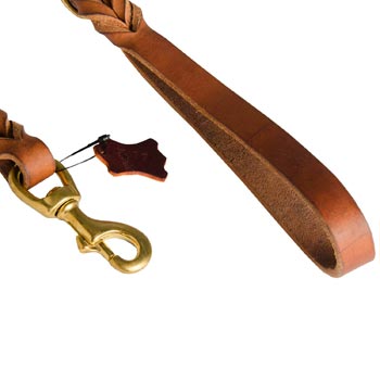 Swiss Mountain Dog Leather Leash for Canine Service