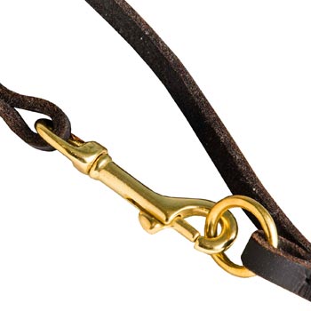 Leather Swiss Mountain Dog Leash with Brass Hardware for Dog Control