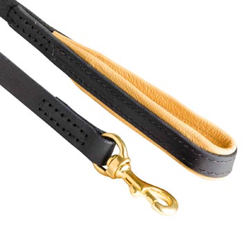 Leather Leash for Swiss Mountain Dog with Nappa Padding on Handle