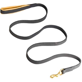 Padded Leather Swiss Mountain Dog Leash for Everyday Walking
