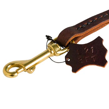 Rustproof Snap Hook for leather Swiss Mountain Dog Leash