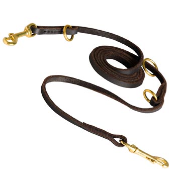 Multipurpose Swiss Mountain Dog Leather Leash for Effective Training
