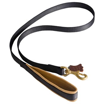 Special Nylon Dog Leash Comfortable to Use for Swiss Mountain Dog