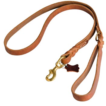 Canine Leather Leash for Swiss Mountain Dog