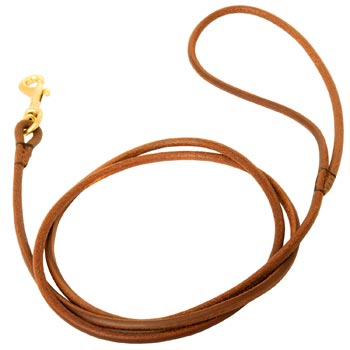Leather Round Leash for Swiss Mountain Dog Elegant Look