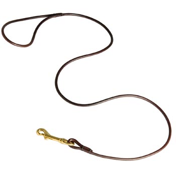Leather Canine Leash for Swiss Mountain Dog Presentation at Dog Shows