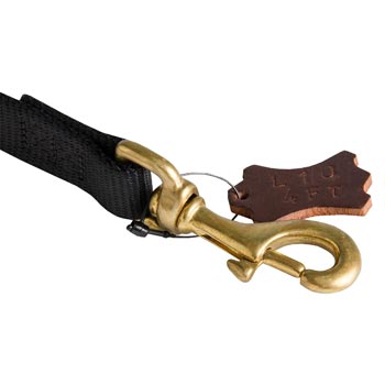 Nylon Swiss Mountain Dog Leash with Dependably Stitched Brass Snap Hook