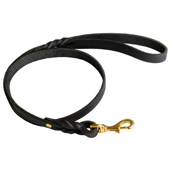 Best Training Swiss Mountain Dog Leash with Braided Details on Opposite Sides