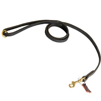 Strong Leather Swiss Mountain Dog Leash for Popular Dog Activities