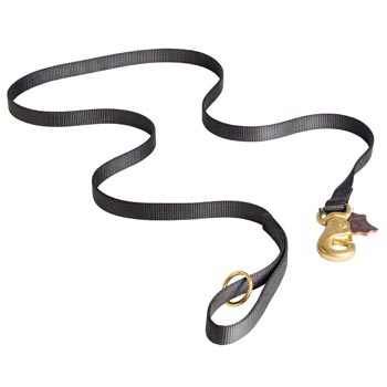 All Weather Nylon Leash for Swiss Mountain Dog Tracking and Training