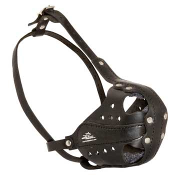 Swiss Mountain Dog Muzzle for Attack Training