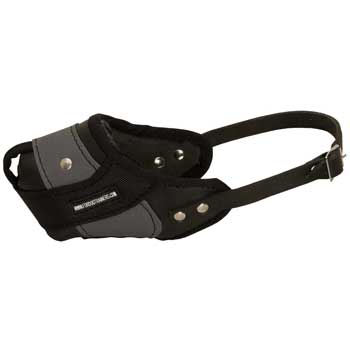 Swiss Mountain Dog Muzzle Leather and Nylon for Walking and Training