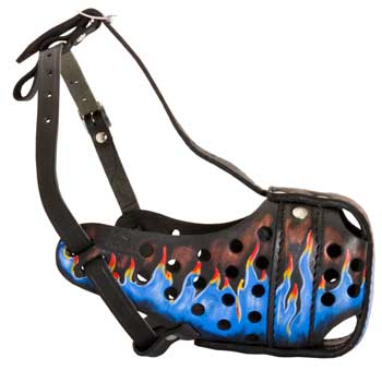 Swiss Mountain Dog Muzzle for Walking and Training