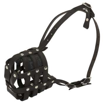 Leather Cage Swiss Mountain Dog Muzzle Padded