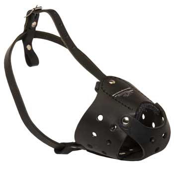 Walking Leather Muzzle for Swiss Mountain Dog
