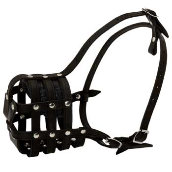 Swiss Mountain Dog Muzzle Leather Cage for Daily Walking