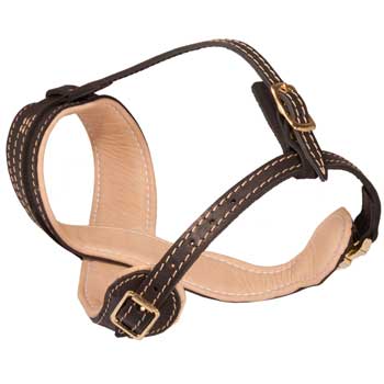 Swiss Mountain Dog Muzzle Leather Easy Adjustable with Quick Release Buckle