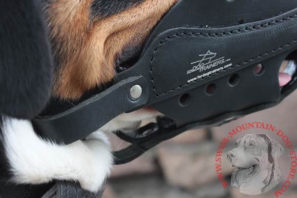 Top-quality Leather Swiss Mountain Dog Muzzle
