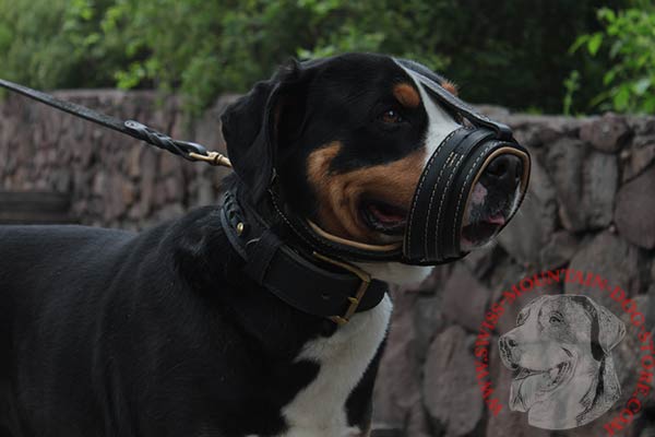 Swiss Mountain Dog Muzzle of Nappa Padded Leather