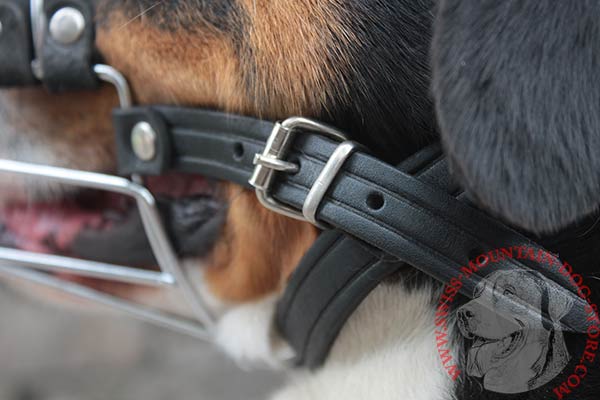 Swiss Mountain Dog Muzzle with Strong Hardware