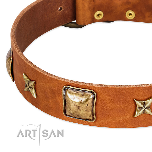 Corrosion resistant buckle on genuine leather dog collar for your four-legged friend