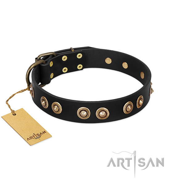 Corrosion proof embellishments on full grain leather dog collar for your dog
