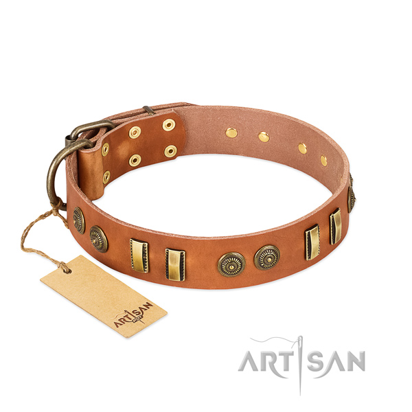 Corrosion proof embellishments on full grain leather dog collar for your canine