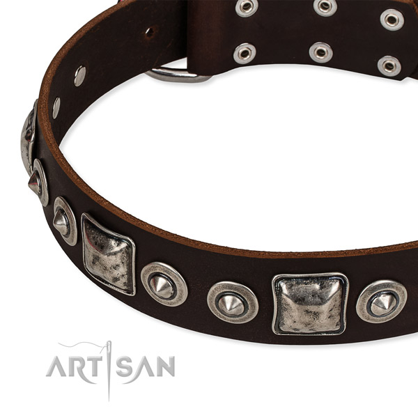 Full grain leather dog collar made of reliable material with studs