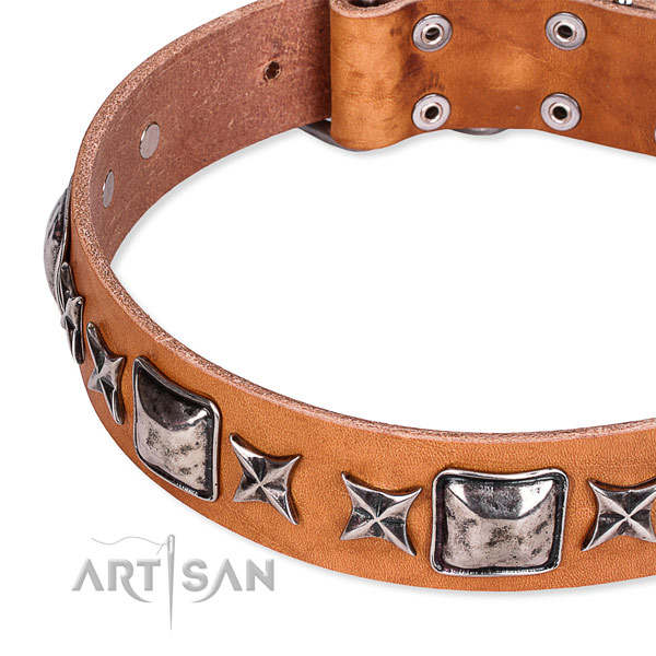 Handy use decorated dog collar of quality full grain natural leather