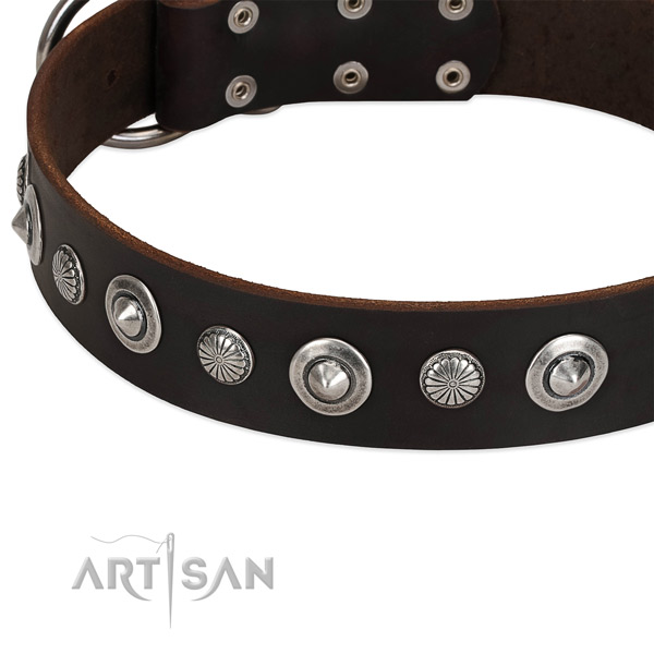 Designer studded dog collar of top notch full grain natural leather