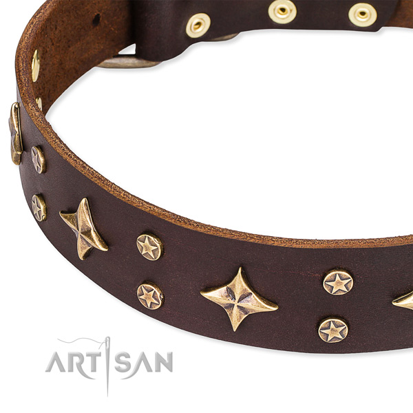 Everyday use embellished dog collar of top quality full grain natural leather
