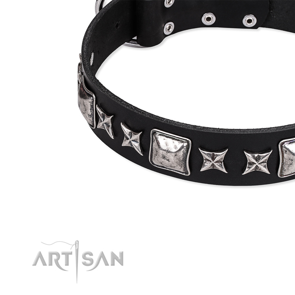 Stylish walking embellished dog collar of best quality full grain genuine leather