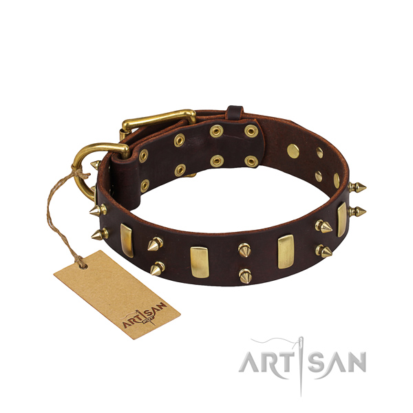 Comfy wearing dog collar of quality genuine leather with decorations