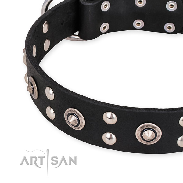 Full grain natural leather collar with durable fittings for your lovely pet