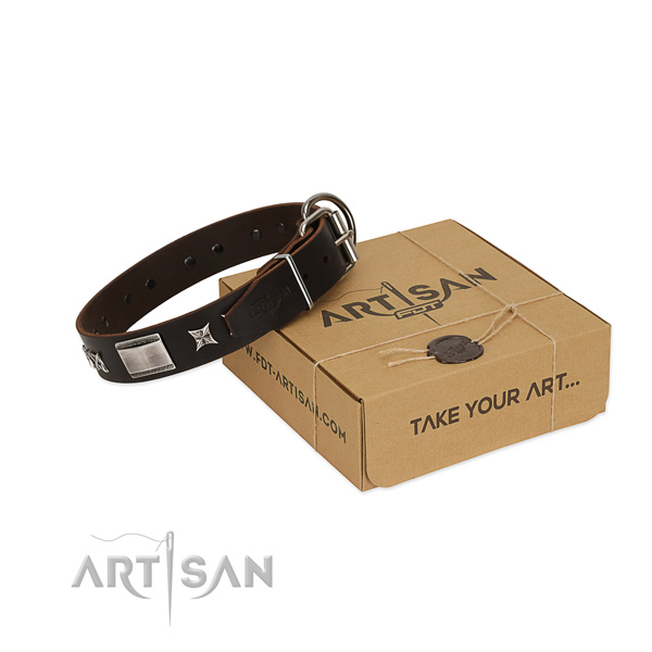 Exceptional collar of full grain natural leather for your impressive pet