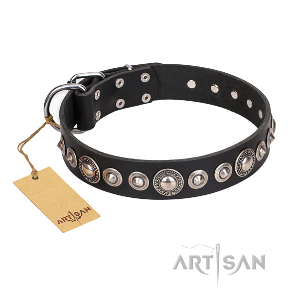 Full grain leather dog collar made of reliable material with corrosion resistant buckle