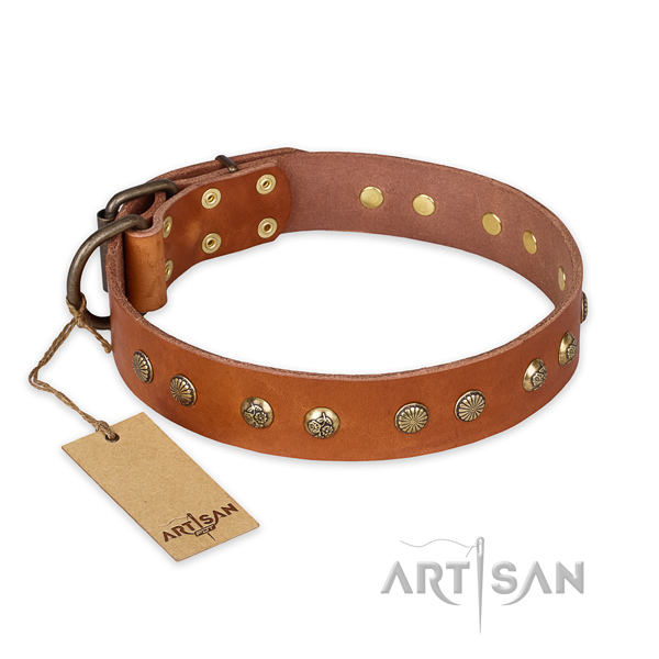 Incredible full grain natural leather dog collar with durable D-ring
